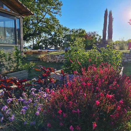 Villa La Fontaine Des Noyers Saint-Saturnin-lès-Apt Esterno foto