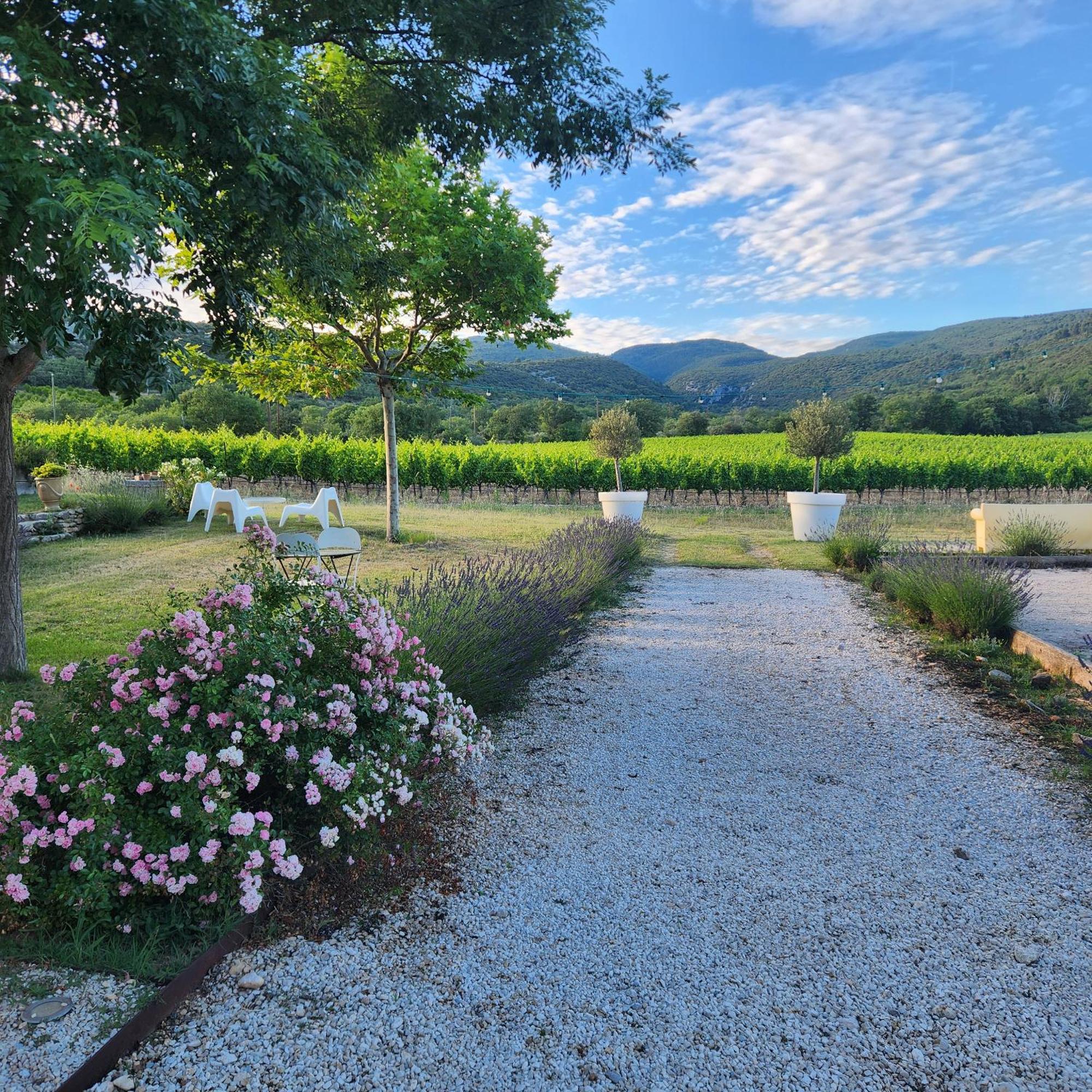 Villa La Fontaine Des Noyers Saint-Saturnin-lès-Apt Esterno foto