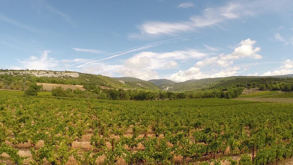 Villa La Fontaine Des Noyers Saint-Saturnin-lès-Apt Esterno foto