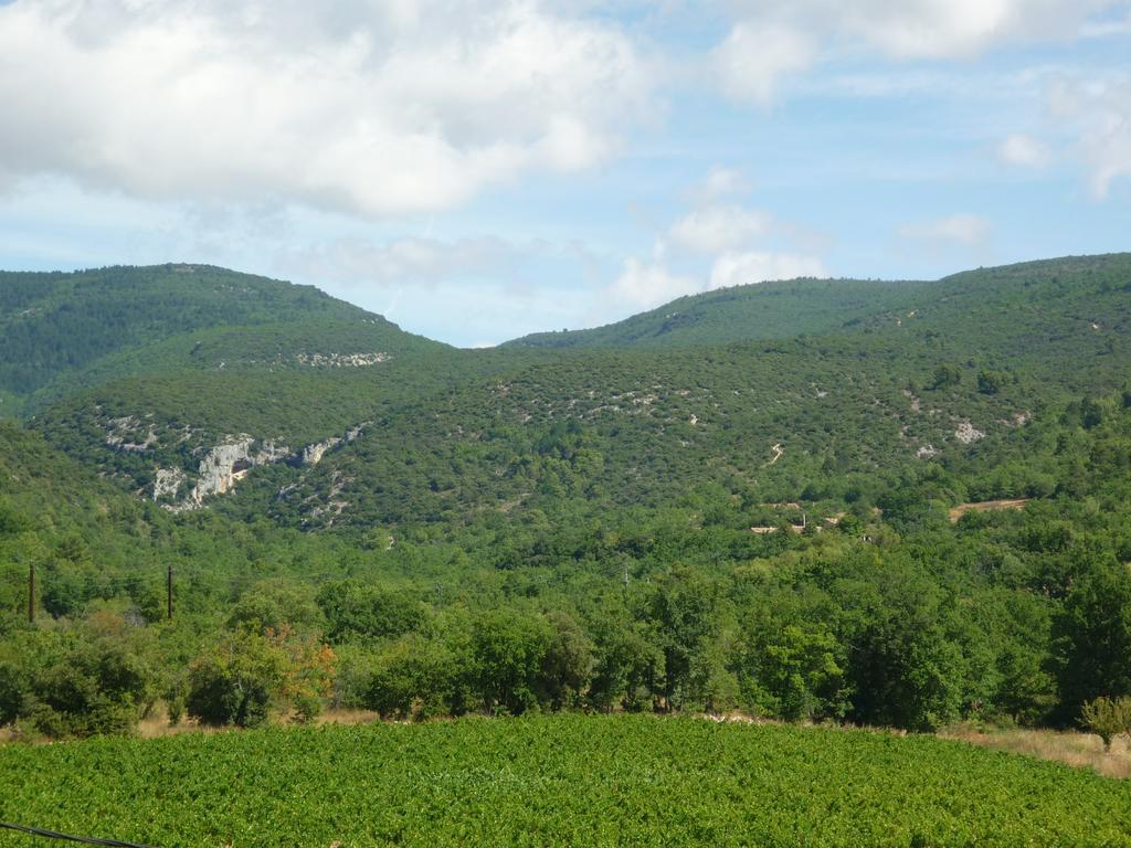 Villa La Fontaine Des Noyers Saint-Saturnin-lès-Apt Esterno foto
